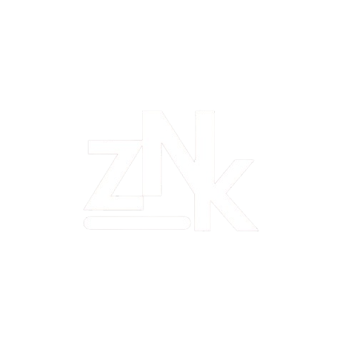 zn logo removebg preview